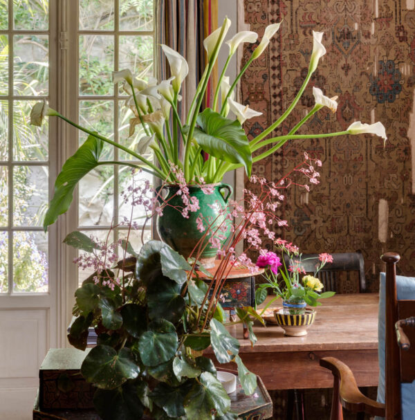 Mark Luscombe-Whyte, Umberto Pasti, Moroccan, nobody, interior, indoors, dining room, detail, table, wood, soft furnishing, curtain, rug, objects, ceramics, vase, display, houseplant, Saxifrage, begonia, door, arum lily, French doors, French window, vintage, individuality, eclectic,